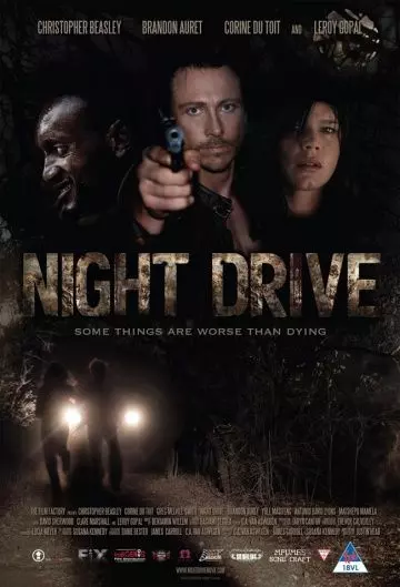 Ночной драйв / Night Drive 2010 скачать через торрент в хорошем качестве