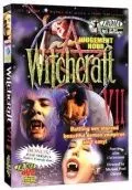 Колдовство 7: Час расплаты / Witchcraft 7: Judgement Hour 1995 скачать через торрент в хорошем качестве