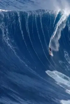 The Yard. Большая волна 2019 скачать торрентом The Yard. Большая волна 2019 скачать торрентом