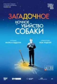 Загадочное ночное убийство собаки / The Curious Incident of the Dog in the Night-Time 2012 скачать через торрент в хорошем качестве