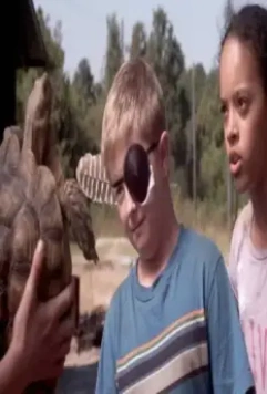 Центр урагана 2012 скачать торрентом Центр урагана 2012 скачать торрентом