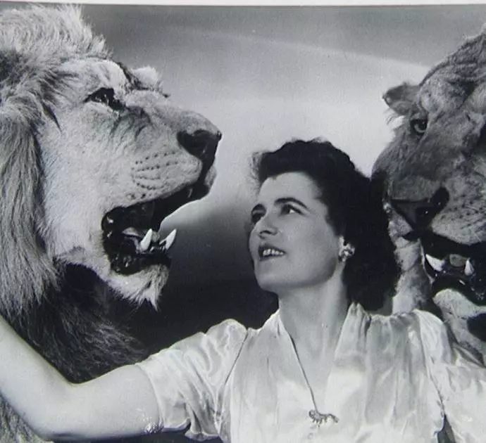 Всем зрелищам зрелище 2015 скачать торрентом Всем зрелищам зрелище 2015 скачать торрентом