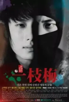 Возвращение Иль Джи-мэ / Dolanon Iljimae 2009 скачать через торрент в хорошем качестве