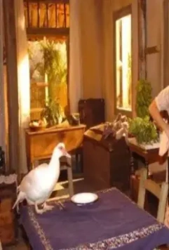 Голос сердца 2005 скачать через торрент бесплатно Голос сердца 2005 скачать через торрент бесплатно