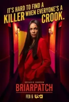 Тернистый Путь / Briarpatch 2019 скачать через торрент в хорошем качестве