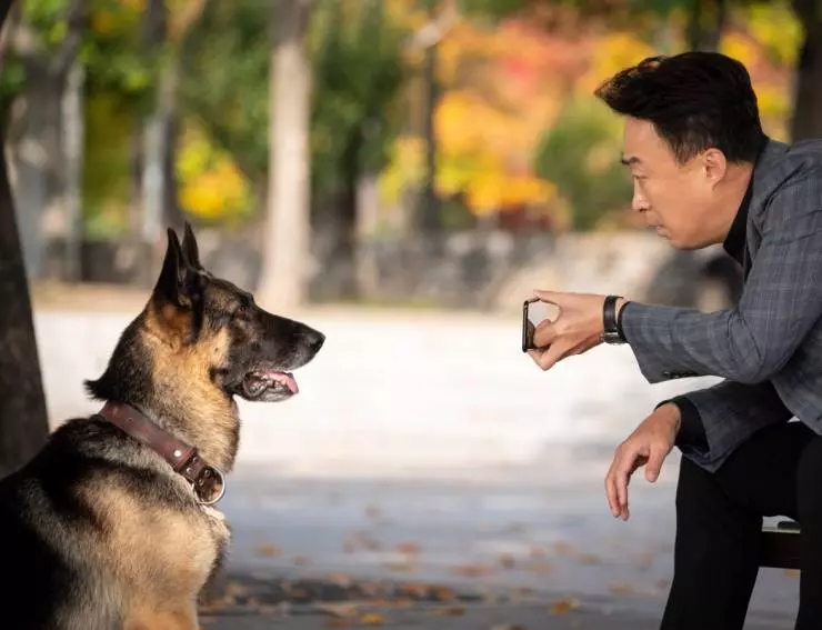 Миссия: Спасти панду 2020 скачать с торрента Миссия: Спасти панду 2020 скачать с торрента