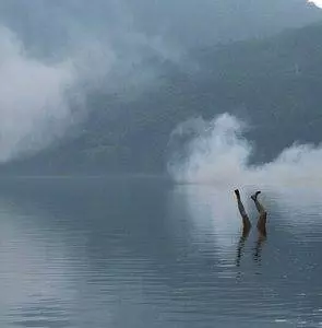 Убийца клана Инугами 2006 скачать торрентом Убийца клана Инугами 2006 скачать торрентом