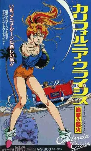 Калифорнийский кризис / California Crisis: Tsuigeki no Hibana 1986 скачать через торрент в хорошем качестве