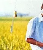 Все о Лили Чоу-Чоу 2001 скачать с торрента Все о Лили Чоу-Чоу 2001 скачать с торрента