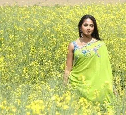 Дон №1 2007 скачать с торрента Дон №1 2007 скачать с торрента