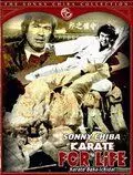 Обреченный на одиночество 3 / Karate baka ichidai 1977 скачать через торрент в хорошем качестве