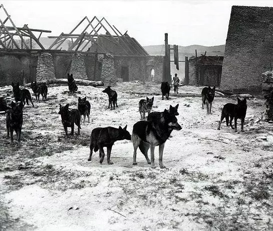 Маркета Лазарова 1966 скачать через торрент бесплатно Маркета Лазарова 1966 скачать через торрент бесплатно