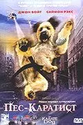 Пес – каратист / The Karate Dog 2005 скачать через торрент в хорошем качестве