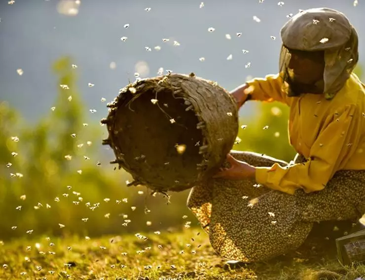 Страна мёда 2019 скачать с торрента Страна мёда 2019 скачать с торрента