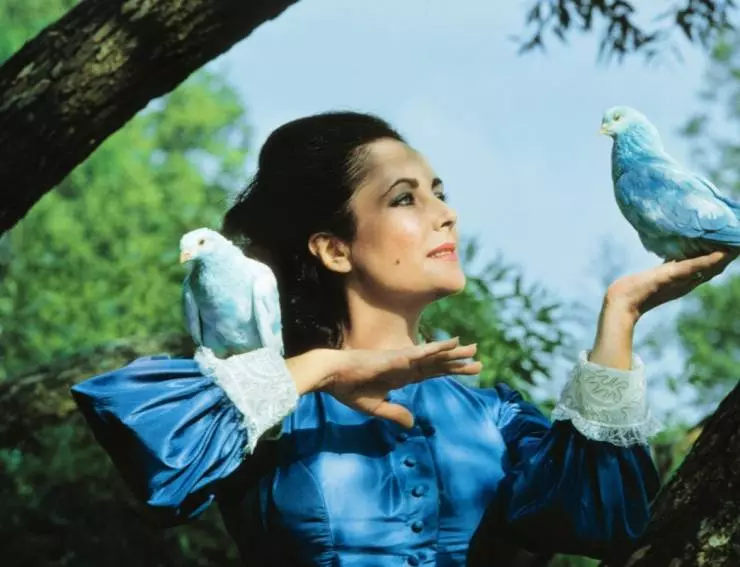 Синяя птица 1976 скачать с торрента Синяя птица 1976 скачать с торрента