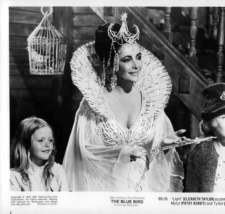 Синяя птица 1976 скачать торрентом Синяя птица 1976 скачать торрентом