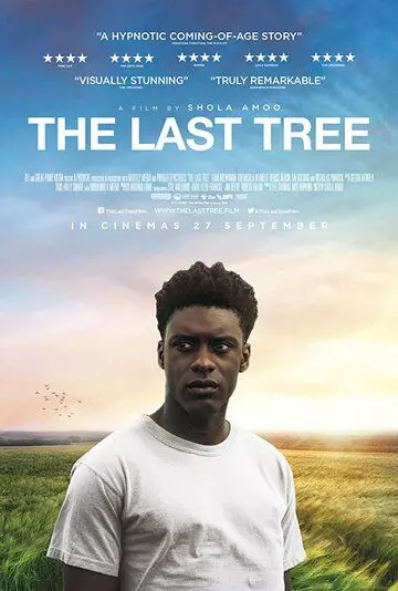 Последнее дерево / The Last Tree 2019 скачать через торрент в хорошем качестве