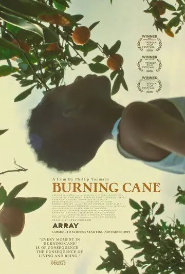 Горящий тростник / Burning Cane 2019 скачать через торрент в хорошем качестве