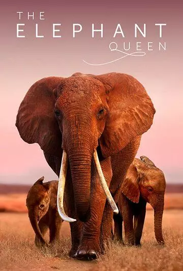 Королева слонов / The Elephant Queen 2019 скачать через торрент в хорошем качестве