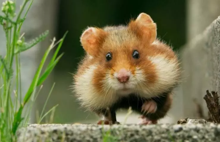 Семь миров, одна планета 2019 скачать через торрент бесплатно Семь миров, одна планета 2019 скачать через торрент бесплатно