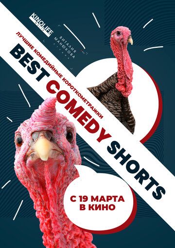 Best Comedy Shorts