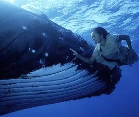 Девочка из океана 1994 скачать торрентом Девочка из океана 1994 скачать торрентом