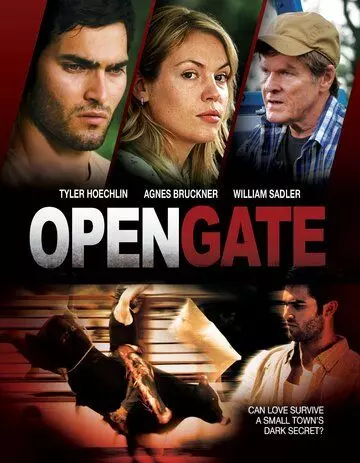 Открытые ворота / Open Gate 2011 скачать через торрент в хорошем качестве