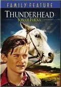 Грозовая туча – сын Флики / Thunderhead - Son of Flicka 1945 скачать через торрент в хорошем качестве