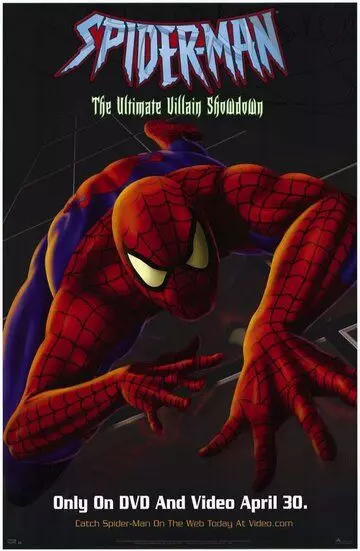 Человек-паук: Злодеи атакуют / Spider-Man: The Ultimate Villain Showdown 2002 скачать через торрент в хорошем качестве