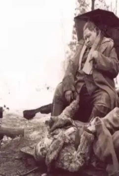 Последний поезд 2003 скачать торрентом Последний поезд 2003 скачать торрентом