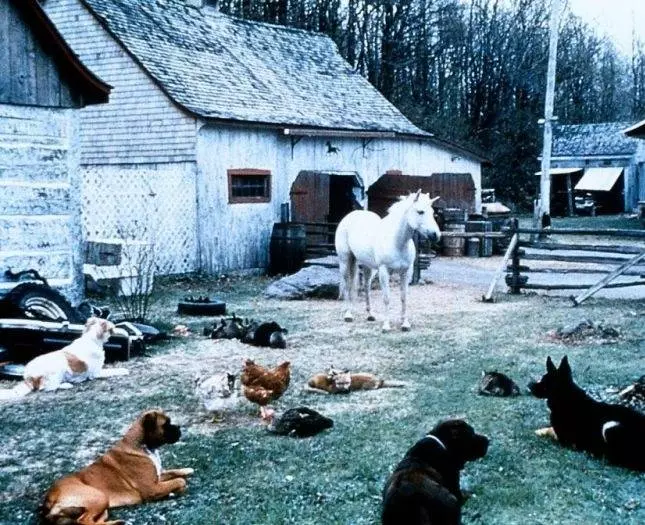 Нико-единорог 1998 скачать с торрента Нико-единорог 1998 скачать с торрента