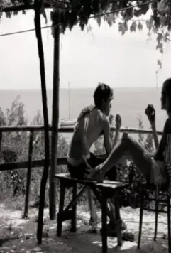 Пока мы были здесь 2012 скачать с торрента Пока мы были здесь 2012 скачать с торрента