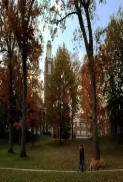 Вишня 2010 скачать с торрента Вишня 2010 скачать с торрента