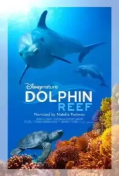 Дельфиний риф / Dolphin Reef 2018 скачать через торрент в хорошем качестве