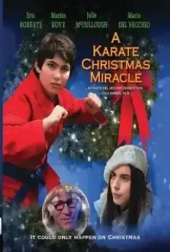 Рождественское чудо в стиле карате / A Karate Christmas Miracle 2019 скачать через торрент в хорошем качестве