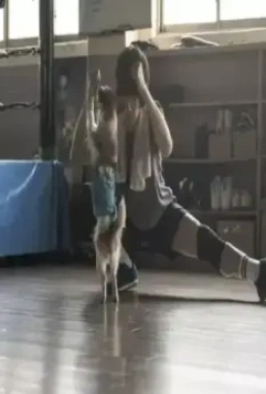 Отбитый боксёр 2019 скачать через торрент бесплатно Отбитый боксёр 2019 скачать через торрент бесплатно