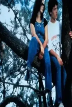 36-й для девочек 1988 скачать торрентом 36-й для девочек 1988 скачать торрентом