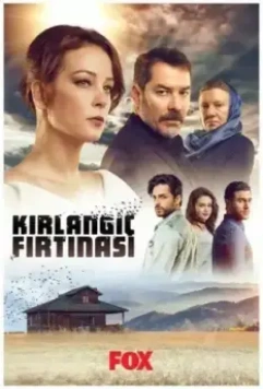 Шторм ласточки / Kirlangiç Firtinasi 2017 скачать через торрент в хорошем качестве