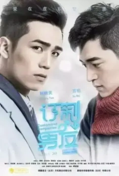 Индивидуальный компаньон / Ding zhi nan you 2017 скачать через торрент в хорошем качестве