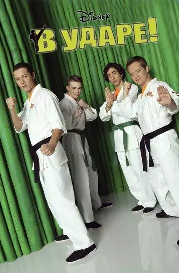 В ударе / Kickin' It 2011 скачать через торрент в хорошем качестве