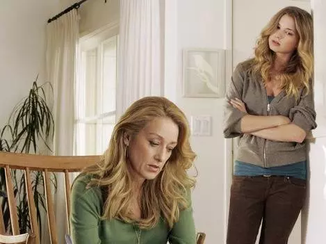 Братья и сестры 2006 скачать торрентом Братья и сестры 2006 скачать торрентом