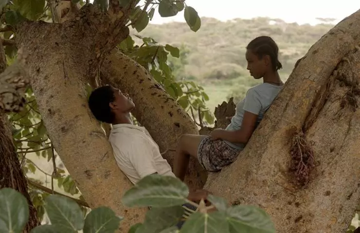 Инжир 2018 скачать с торрента Инжир 2018 скачать с торрента