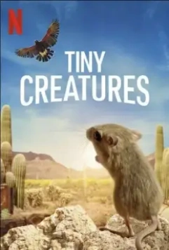 Крошечные существа / Tiny Creatures 2020 скачать через торрент в хорошем качестве