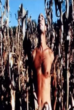 Слишком много плоти 2000 скачать через торрент бесплатно Слишком много плоти 2000 скачать через торрент бесплатно