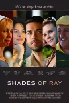 Все оттенки Рэя / Shades of Ray 2008 скачать через торрент в хорошем качестве