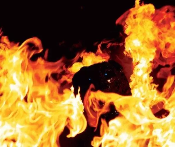 Ротвейлер 2004 скачать с торрента Ротвейлер 2004 скачать с торрента