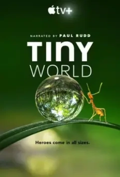 Крошечный мир / Tiny World 2020 скачать через торрент в хорошем качестве