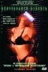 Виртуальная страсть / Virtual Girl 2: Virtual Vegas 2001 скачать через торрент в хорошем качестве