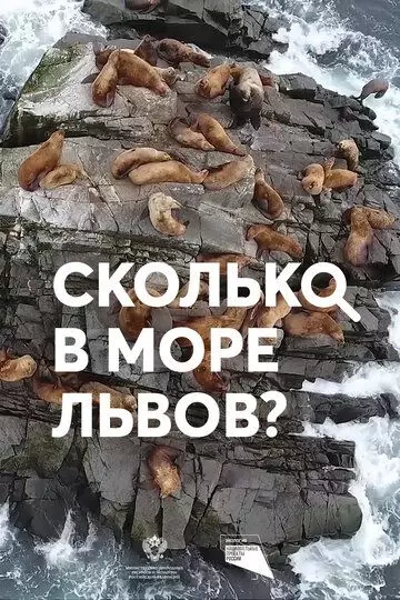 Сколько в море львов? 2018 скачать через торрент в хорошем качестве