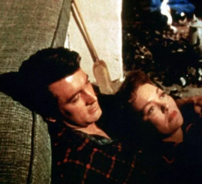 Все, что дозволено небесами 1955 скачать с торрента Все, что дозволено небесами 1955 скачать с торрента